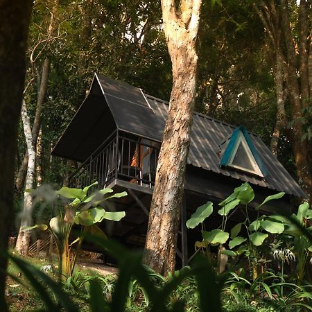 Garden Of Eden-Thottam Munnar-Hiking And Camping Anachal Exterior foto