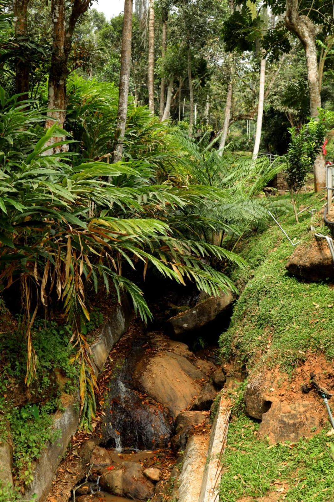 Garden Of Eden-Thottam Munnar-Hiking And Camping Anachal Exterior foto