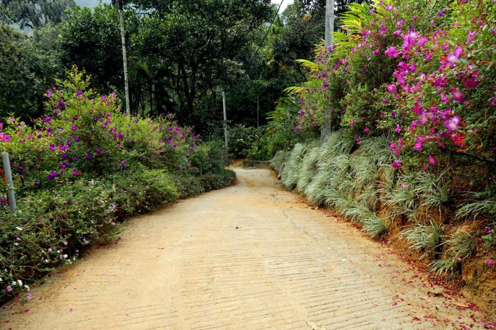 Garden Of Eden-Thottam Munnar-Hiking And Camping Anachal Exterior foto