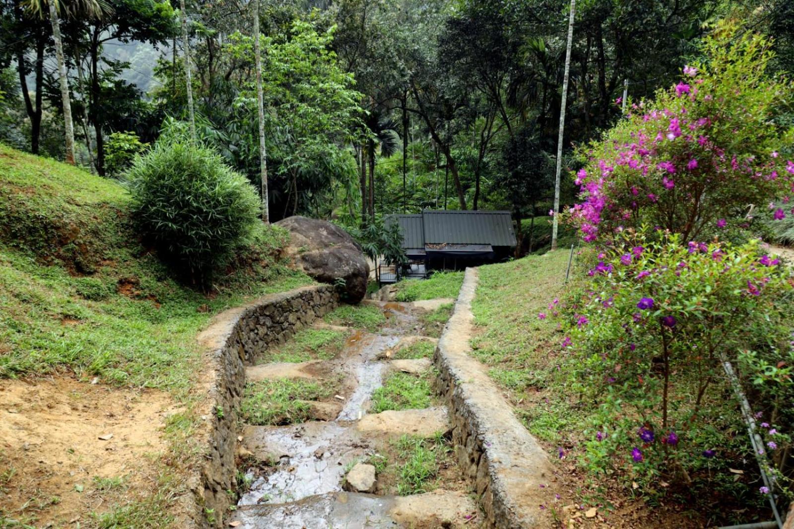 Garden Of Eden-Thottam Munnar-Hiking And Camping Anachal Exterior foto