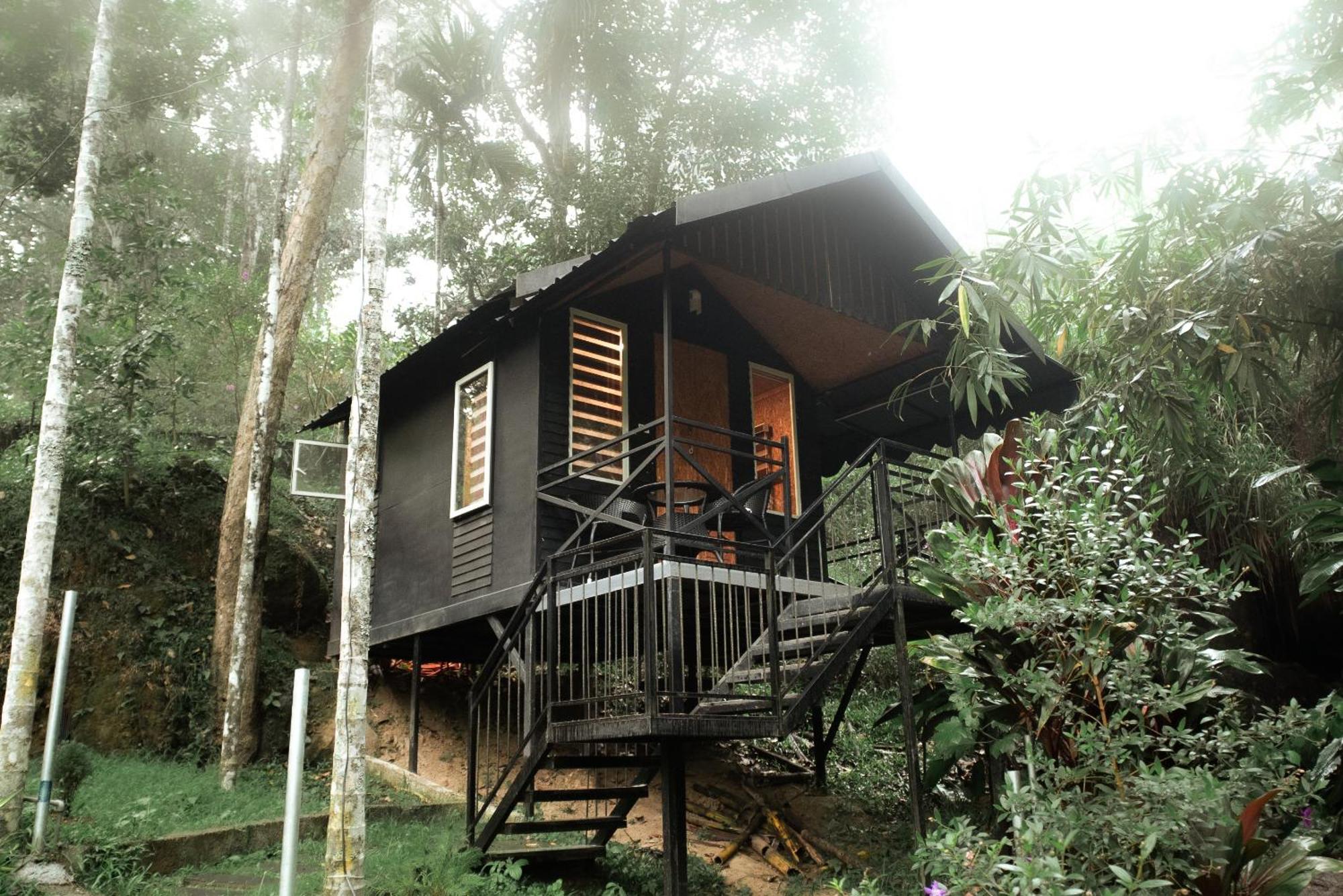 Garden Of Eden-Thottam Munnar-Hiking And Camping Anachal Exterior foto