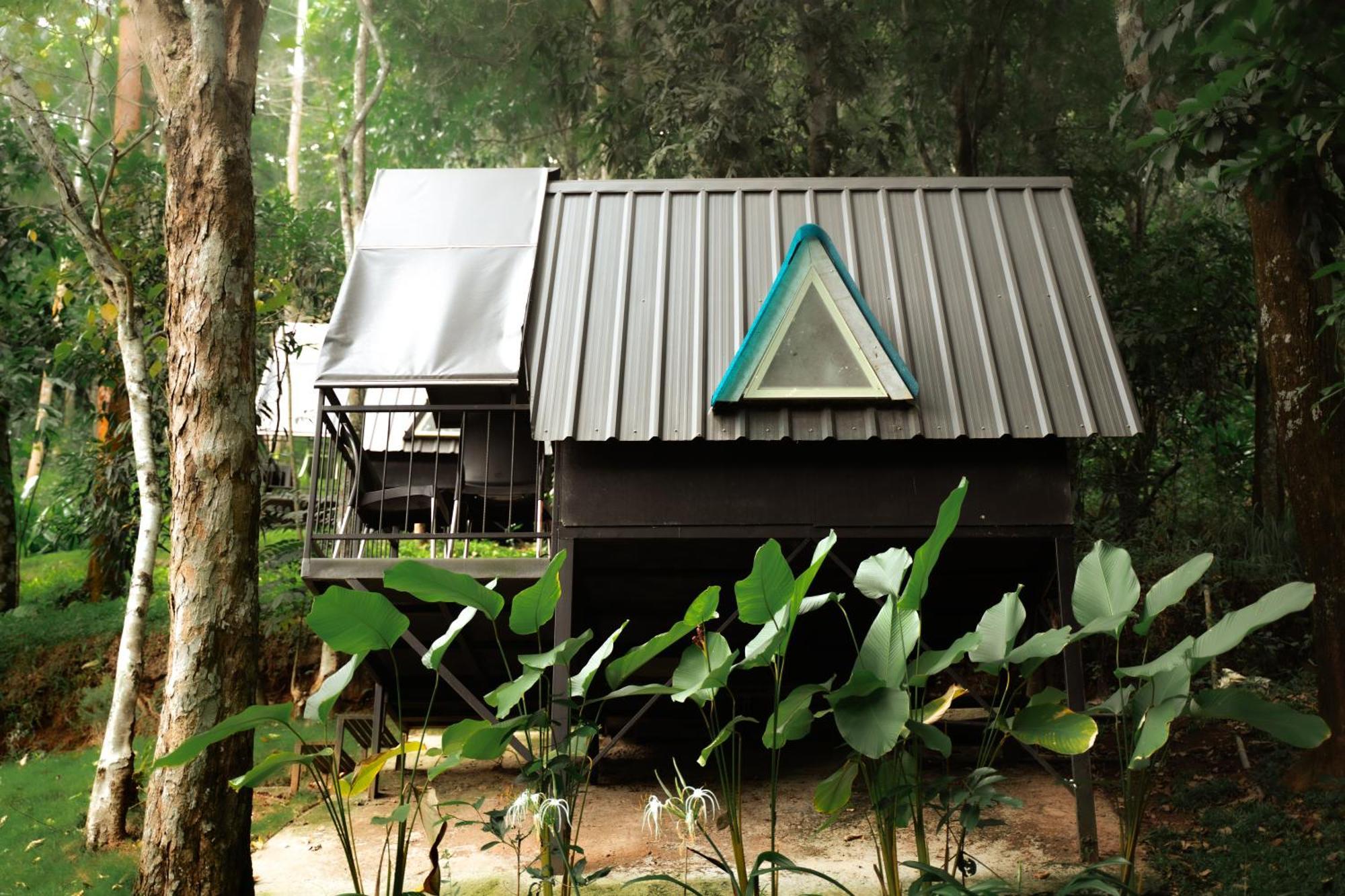 Garden Of Eden-Thottam Munnar-Hiking And Camping Anachal Exterior foto